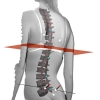 Bodymapper 4D – wizualizacja kręgosłupa i wyników pomiaru postawy w modelu 3D.