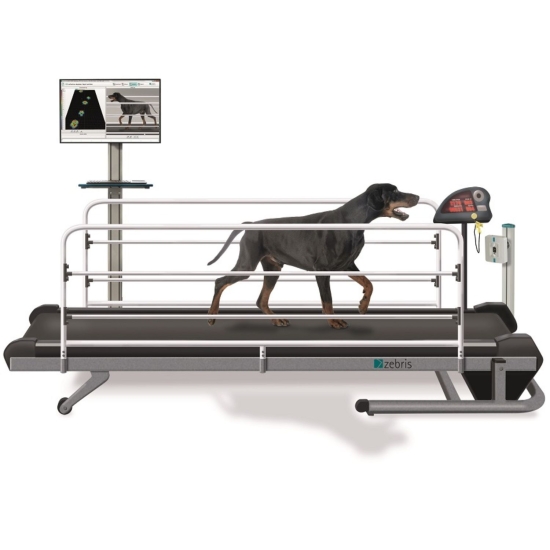 CandiGait – bieżnia do analizy chodu psów z systemem komputerowym.