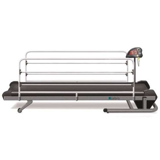 CandiGait – bieżnia do oceny postawy psów, widok bez zwierzęcia.