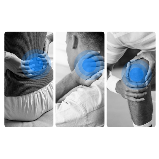 Moti Physio 2 – analiza obszarów bólowych pacjenta zaznaczonych na zdjęciach.