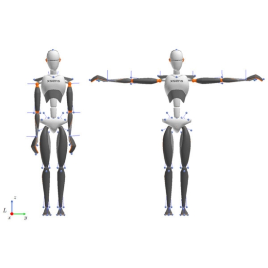 Movella Xsens – wizualizacja modelu 3D postawy i ruchu człowieka.