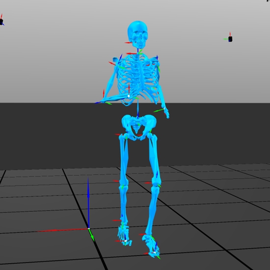 Theia3D - Oprogramowanie do  bezmarkerowej oceny ruchu